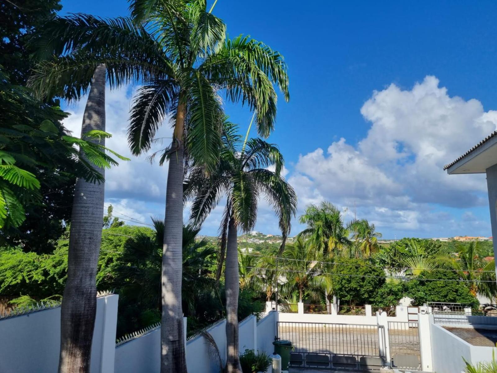Studio Apartment Volterra Curacao Willemstad Exteriér fotografie